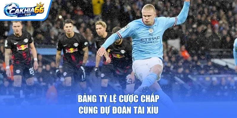 Bảng tỷ lệ cược chấp cùng dự đoán tài xỉu