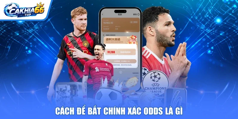 Cách để bắt chính xác odds là gì
