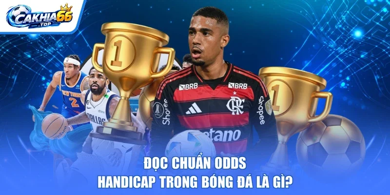 Đọc chuẩn odds Handicap trong bóng đá là gì?
