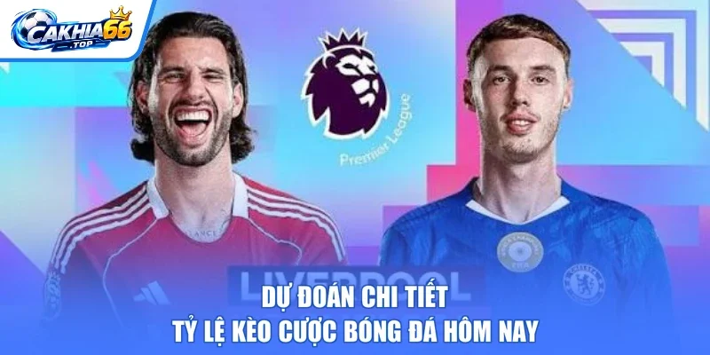 Dự đoán chi tiết tỷ lệ kèo cược bóng đá hôm nay