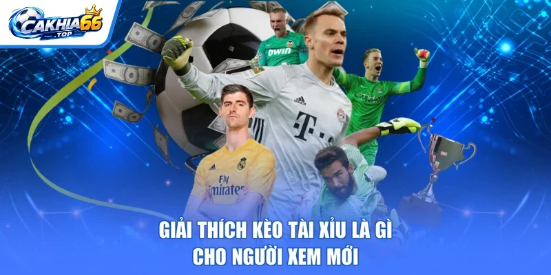 Giải thích kèo tài xỉu là gì cho người xem mới