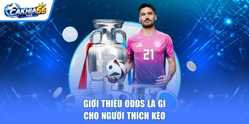 Giới thiệu odds là gì cho người thích kèo