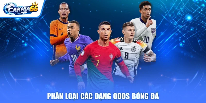 Phân loại các dạng odds bóng đá